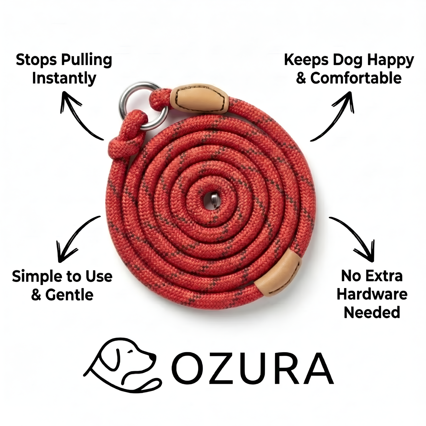 Give Your Dog Gentle Training and Yourself Peaceful Walks