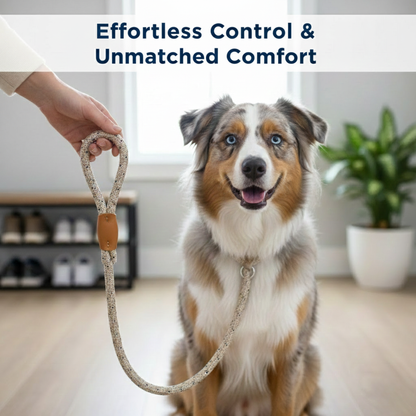 Give Your Dog Gentle Training and Yourself Peaceful Walks