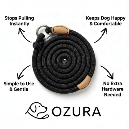 Give Your Dog Gentle Training and Yourself Peaceful Walks