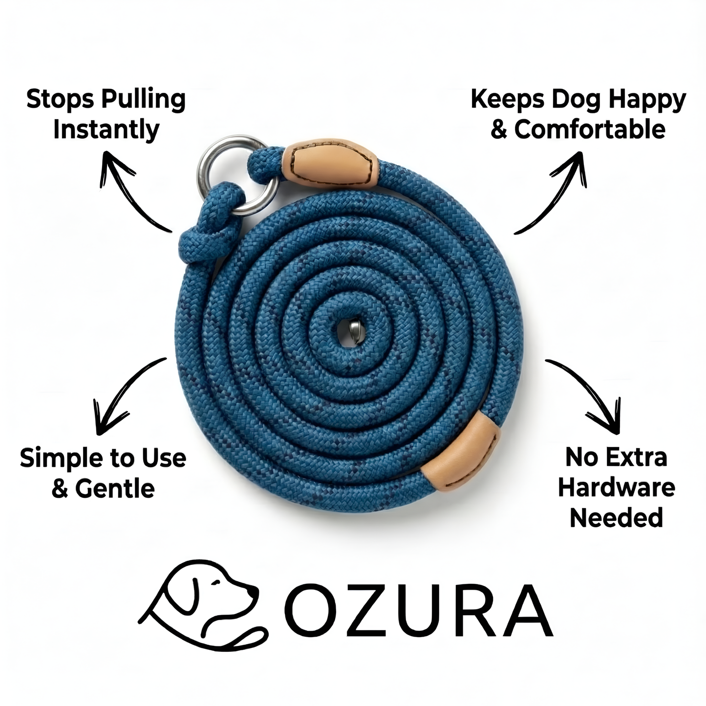 Give Your Dog Gentle Training and Yourself Peaceful Walks