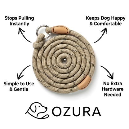 Give Your Dog Gentle Training and Yourself Peaceful Walks