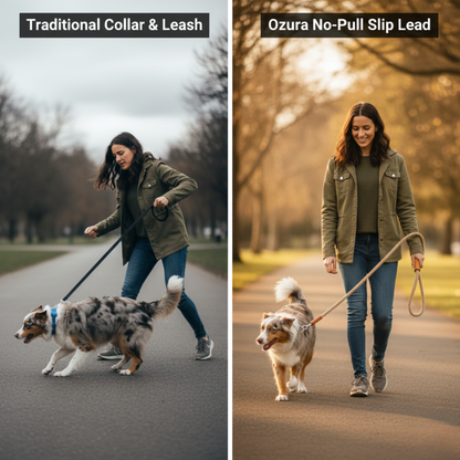 Give Your Dog Gentle Training and Yourself Peaceful Walks